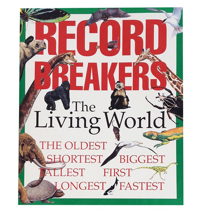 Record Breakers